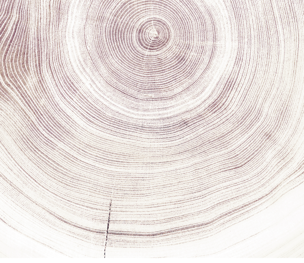 Wood interior cut AdobeStock 4@2x