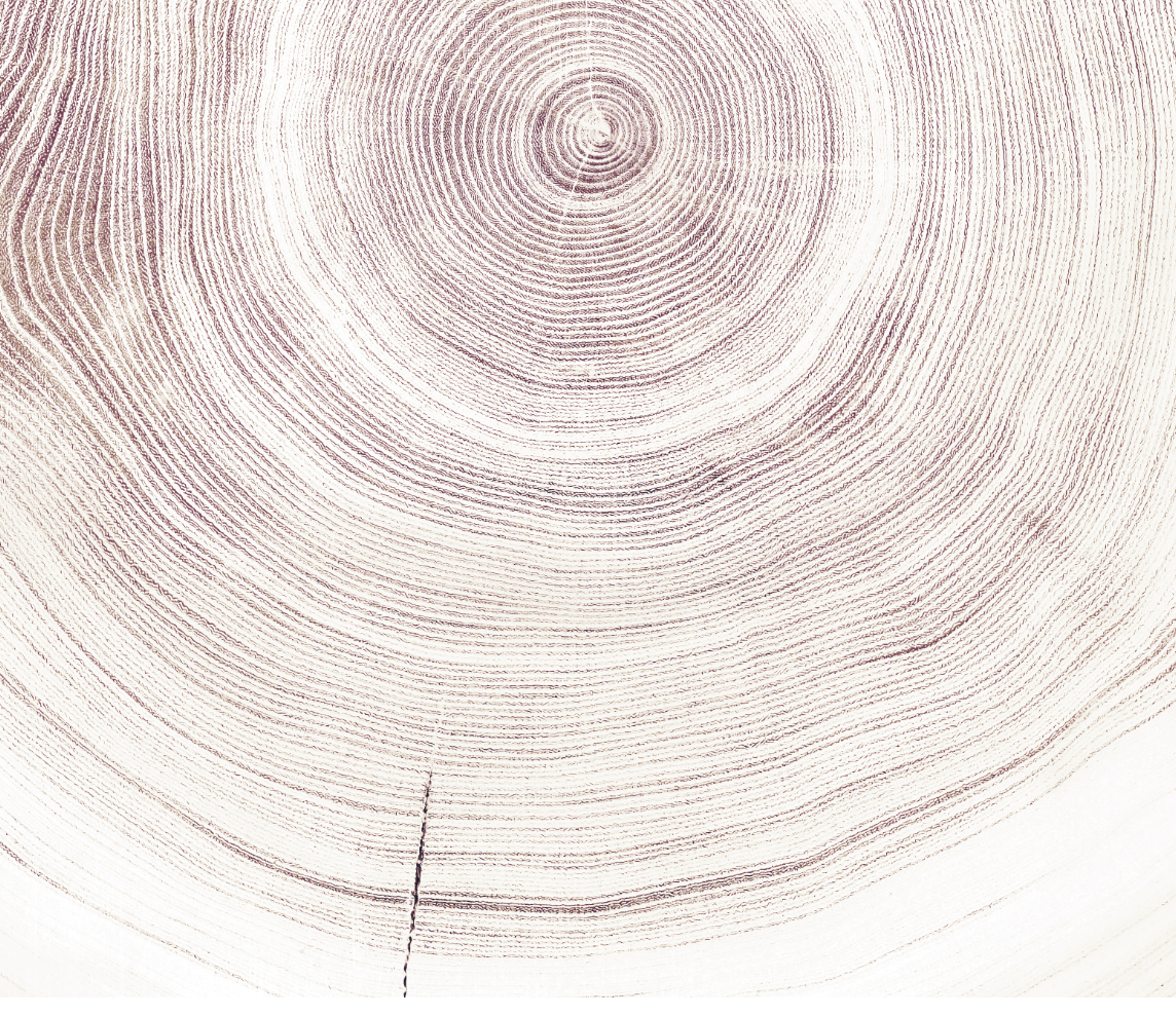 Wood interior cut AdobeStock